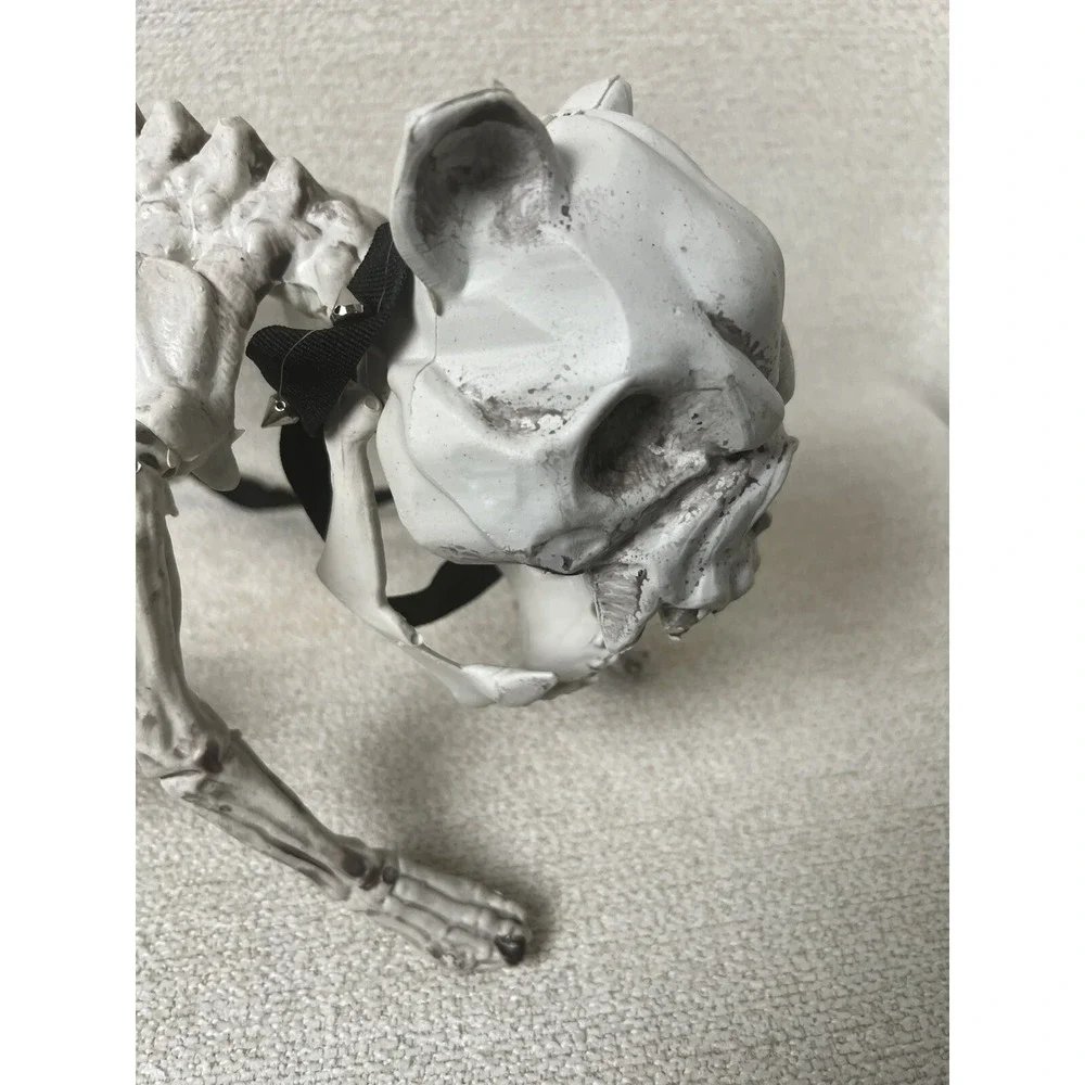 Skeleton Dogs Halloween Decorations Realistic Bones Scary Horror Lot 2